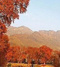 travel-image